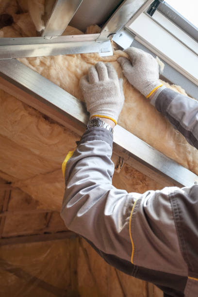 Best Commercial Insulation Services  in Teutopolis, IL