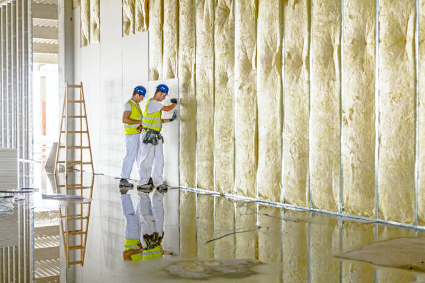 Best Blown-In Insulation  in Teutopolis, IL